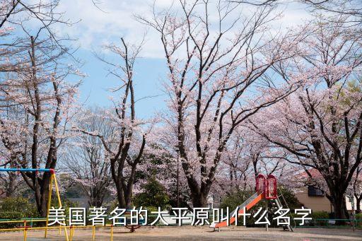 美國著名的大平原叫什么名字