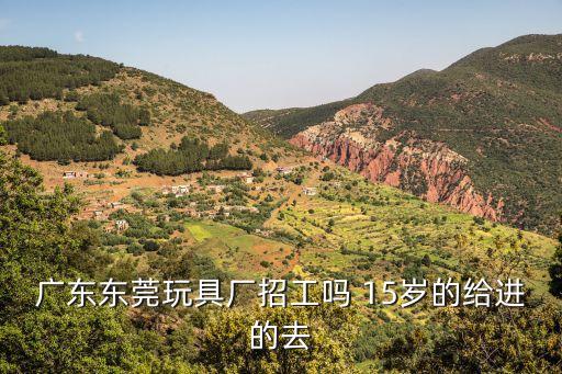 廣東東莞玩具廠招工嗎 15歲的給進的去