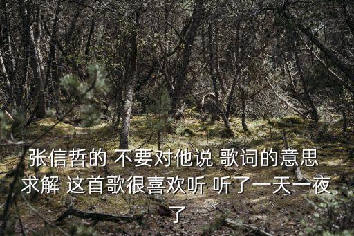 張信哲的 不要對(duì)他說 歌詞的意思 求解 這首歌很喜歡聽 聽了一天一夜了