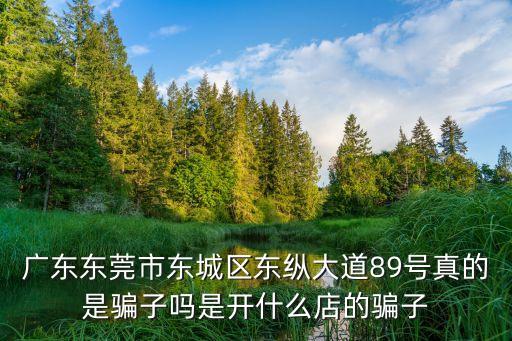 廣東東莞市東城區東縱大道89號真的是騙子嗎是開什么店的騙子