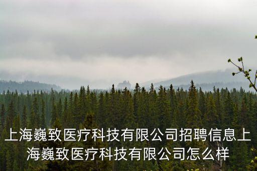 上海巍致醫療科技有限公司招聘信息上海巍致醫療科技有限公司怎么樣