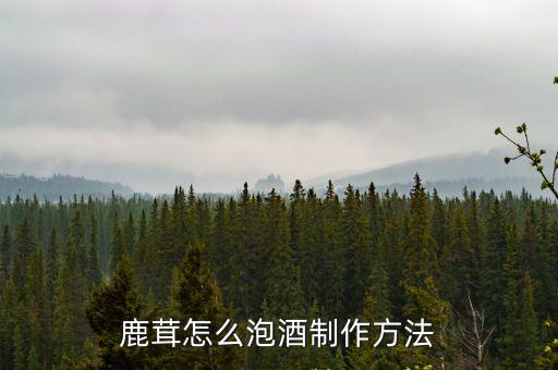鹿茸怎么泡酒制作方法