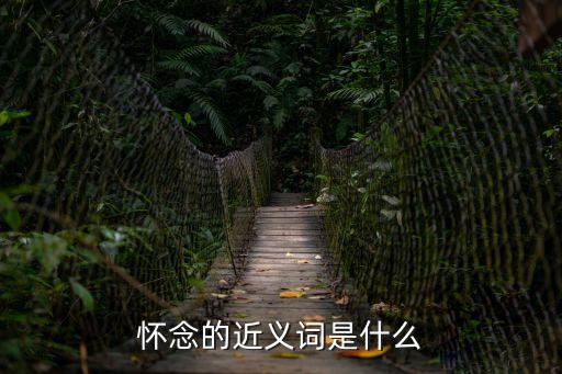 懷念的近義詞是什么