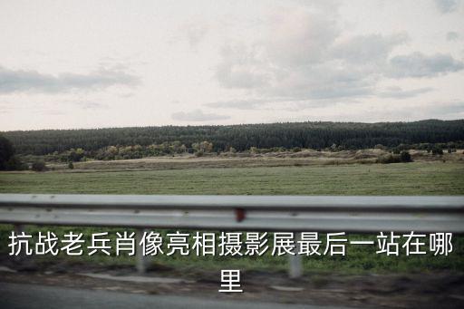 上海市抗戰老兵，王玉齡兒子是干什么的