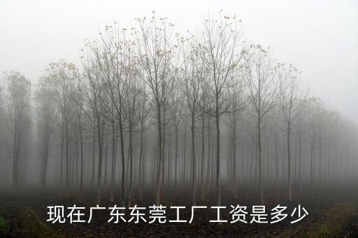 現在廣東東莞工廠工資是多少