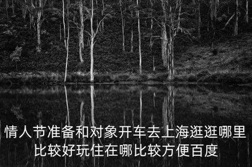情人節準備和對象開車去上海逛逛哪里比較好玩住在哪比較方便百度