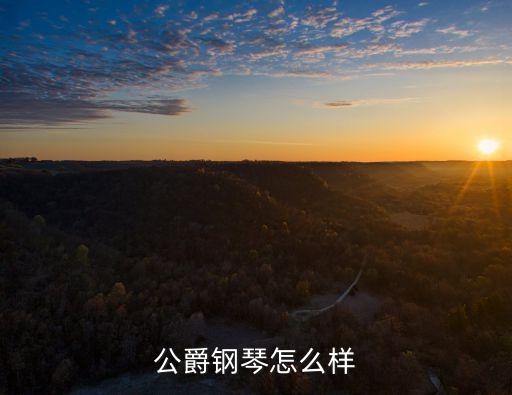 公爵鋼琴怎么樣