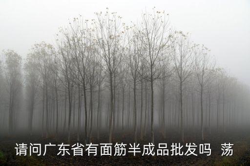 請問廣東省有面筋半成品批發嗎  蕩