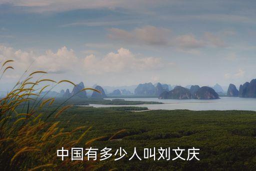 中國(guó)有多少人叫劉文慶