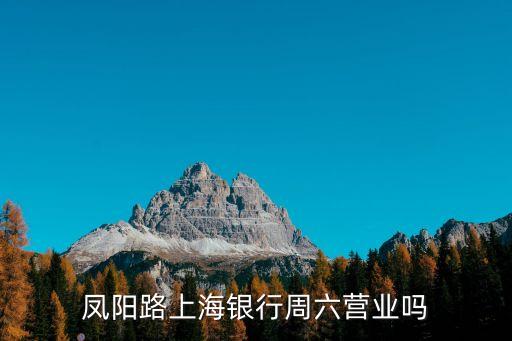 鳳陽路上海銀行周六營業(yè)嗎