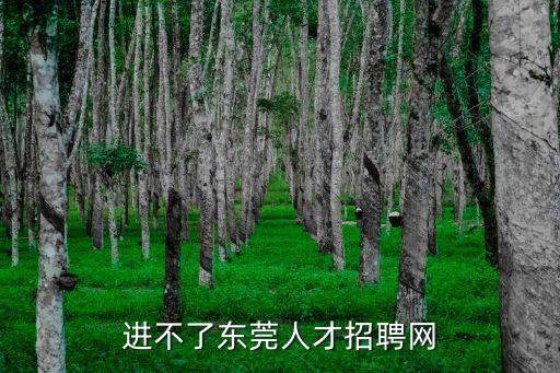 進不了東莞人才招聘網