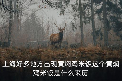 上海好多地方出現(xiàn)黃燜雞米飯這個(gè)黃燜雞米飯是什么來(lái)歷