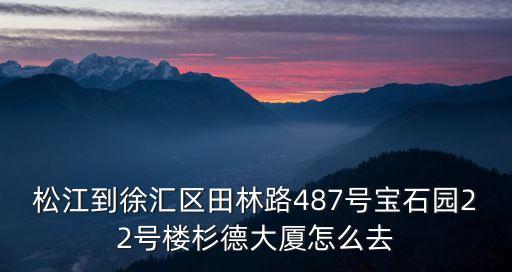 上海市徐匯新城公寓96棟，松江到徐匯區田林路487號寶石園22號樓杉德大廈怎么去