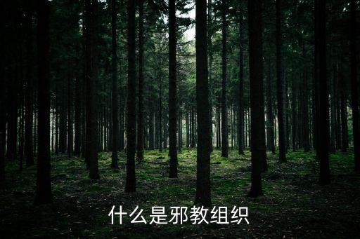 邪教組織，什么是邪教組織