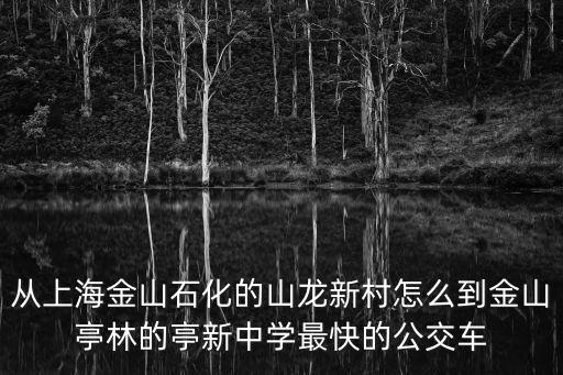 從上海金山石化的山龍新村怎么到金山亭林的亭新中學最快的公交車