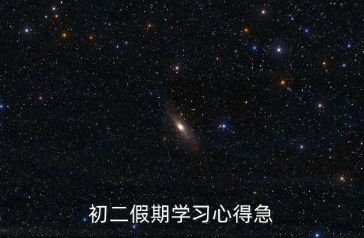 初二假期學習心得急