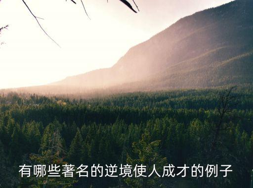有哪些著名的逆境使人成才的例子