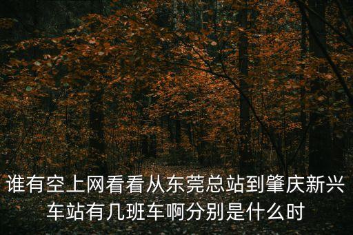 誰有空上網看看從東莞總站到肇慶新興車站有幾班車啊分別是什么時