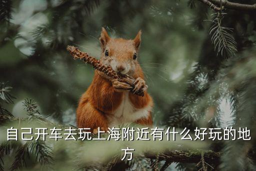 開車逛逛上海市區，情人節準備和對象開車去上海逛逛哪里比較好玩住在哪比較方便百度