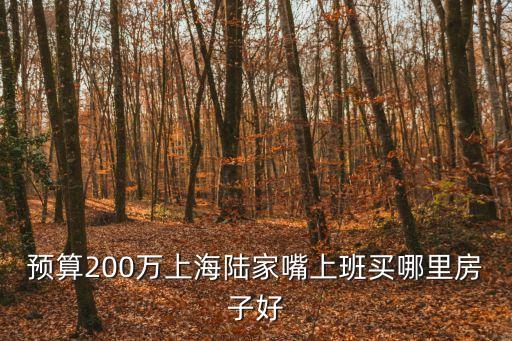 上海市陸家嘴房產推薦，預算200萬上海陸家嘴上班買哪里房子好