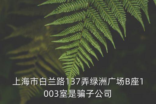 上海市白蘭路137弄綠洲廣場B座1003室是騙子公司