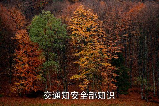 交通安全內容，交通知安全部知識
