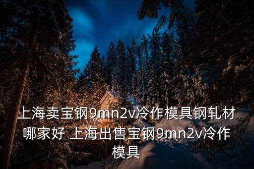 上海賣寶鋼9mn2v冷作模具鋼軋材哪家好 上海出售寶鋼9mn2v冷作模具