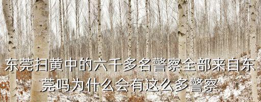東莞掃黃中的六千多名警察全部來自東莞嗎為什么會有這么多警察