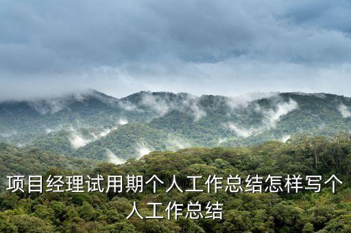 項目經理試用期個人工作總結怎樣寫個人工作總結