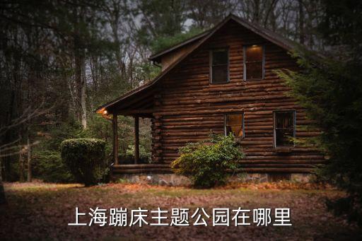 上海蹦床主題公園在哪里