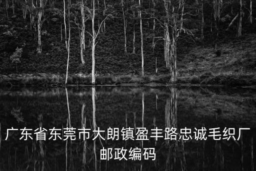 廣東省東莞市大朗鎮(zhèn)盈豐路忠誠毛織廠郵政編碼