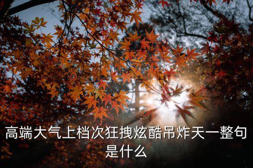 高端大氣上檔次狂拽炫酷吊炸天一整句是什么