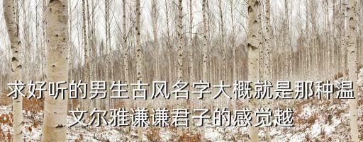 求好聽的男生古風名字大概就是那種溫文爾雅謙謙君子的感覺越