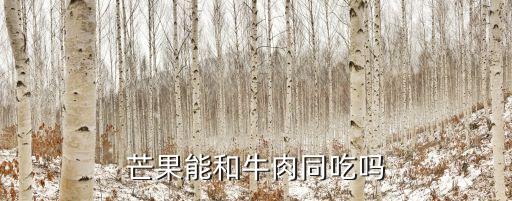 芒果能和牛肉同吃嗎