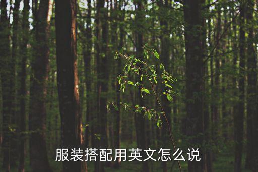 服裝搭配用英文怎么說