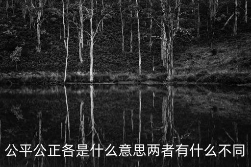 公平公正各是什么意思兩者有什么不同
