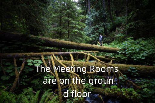 The Meeting Rooms are on the ground floor