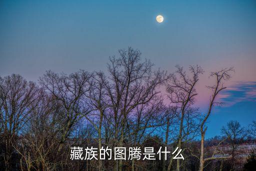 藏族圖騰，西藏的圖騰是什么哪些地方還有呢都是些什么呀