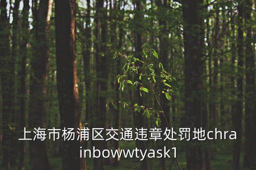 上海市楊浦區晁衛林，上海市楊浦區交通違章處罰地chrainbowwtyask1