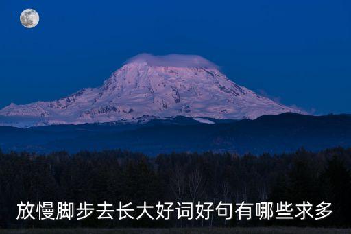放慢腳步去長大，放慢腳步去長大好詞好句有哪些求多