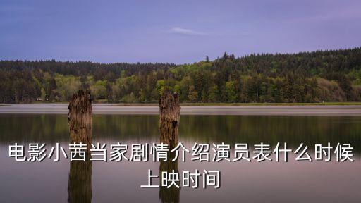 電影小茜當家劇情介紹演員表什么時候上映時間
