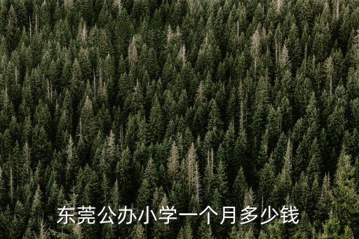 東莞公辦小學一個月多少錢