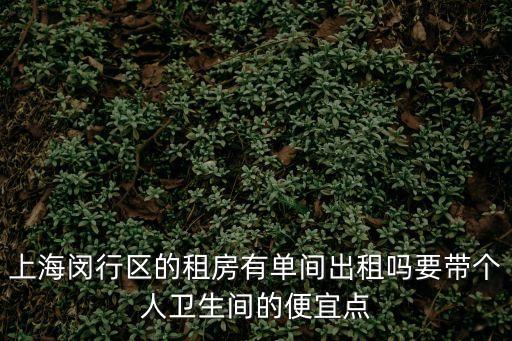 上海市閔行區(qū)滬青平公路租房，上海閔行區(qū)租房