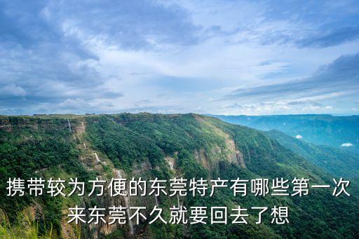 攜帶較為方便的東莞特產有哪些第一次來東莞不久就要回去了想