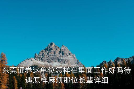 東莞證券這單位怎樣在里面工作好嗎待遇怎樣麻煩那位長輩詳細