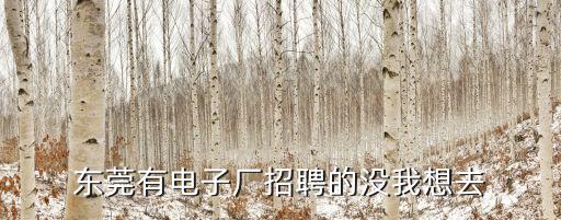 東莞有電子廠招聘的沒我想去