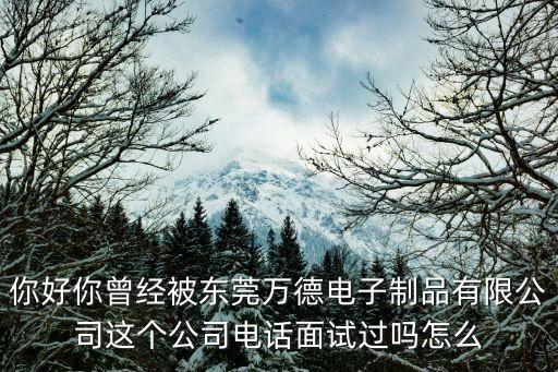 東莞溫塘萬德電子廠，東莞東城萬德電子廠還招人嗎