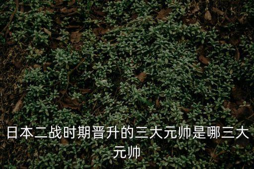 日本二戰(zhàn)時(shí)期晉升的三大元帥是哪三大元帥
