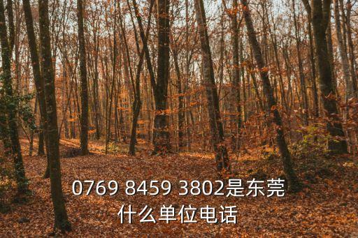 0769 8459 3802是東莞什么單位電話
