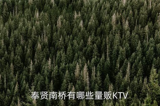 奉賢南橋有哪些量販KTV